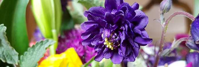 Flower Farming a Career Change