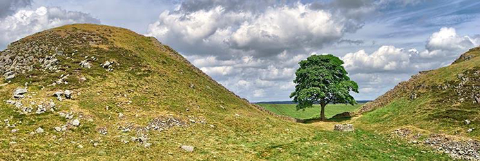 Sycamore Gap