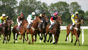 Ascot Ladies Day