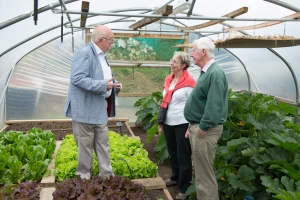 Inside the Battlesteads greenhouses