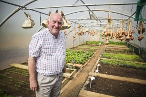 Richard in the Polytunnels